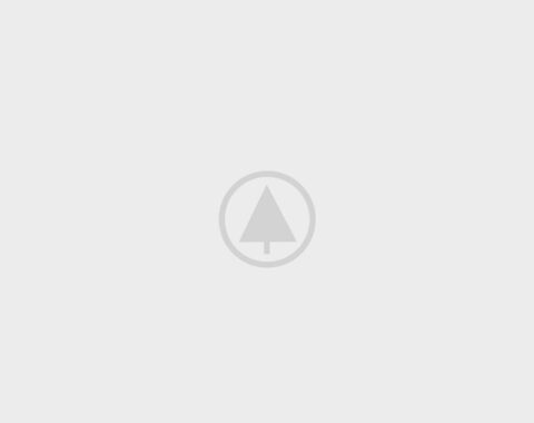 wood-gallery-placeholder-5 wood-gallery-placeholder-5