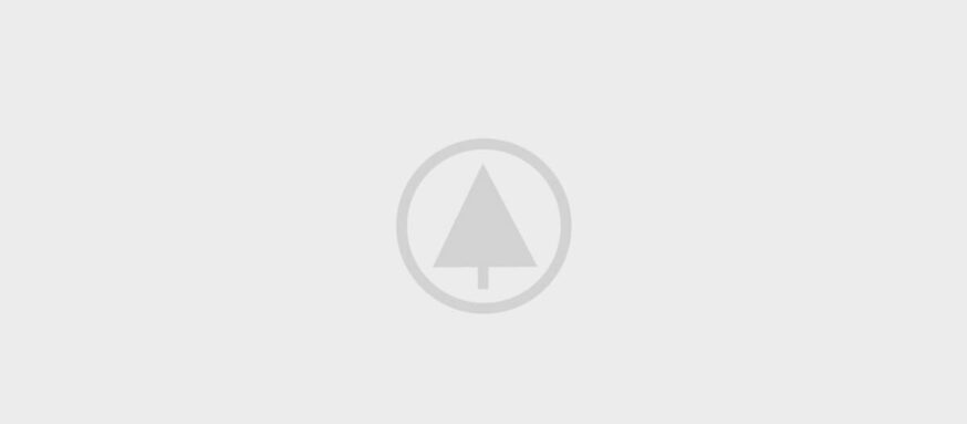 wood-gallery-placeholder-5 wood-gallery-placeholder-5