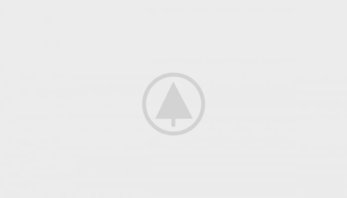 wood-portfolio-placeholder wood-portfolio-placeholder