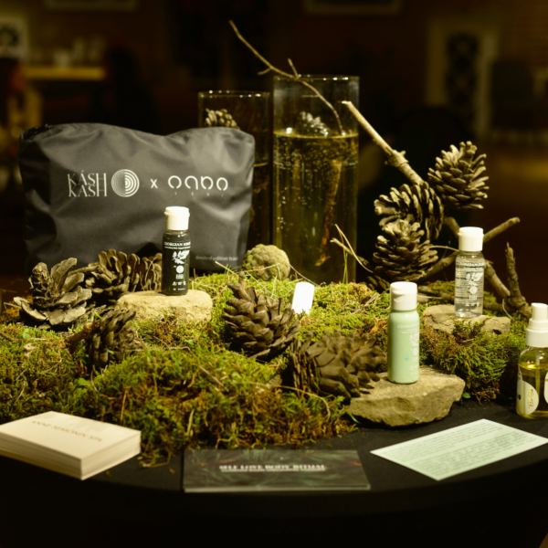 ქართული ტყის სამგზავრო ნაკრები